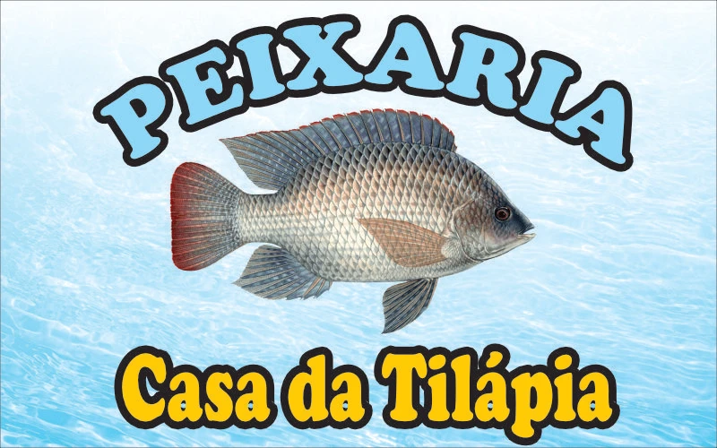 Peixaria Casa da Tilápia - foto 3