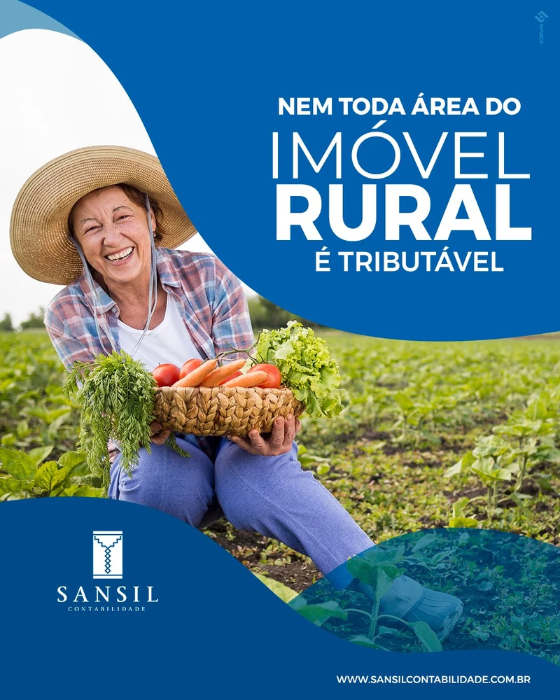 Sansil Contabilidade - foto 7